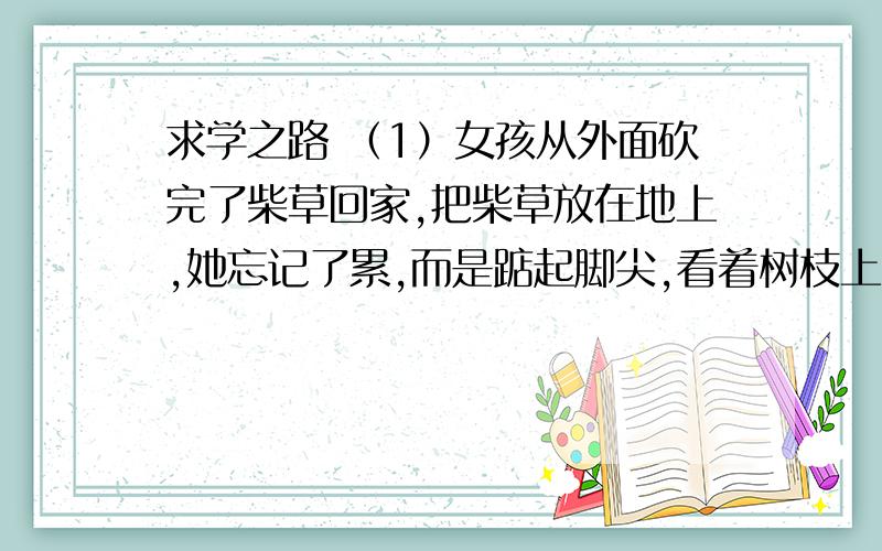 求学之路 （1）女孩从外面砍完了柴草回家,把柴草放在地上,她忘记了累,而是踮起脚尖,看着树枝上的小鸟飞向了蓝天.（2）