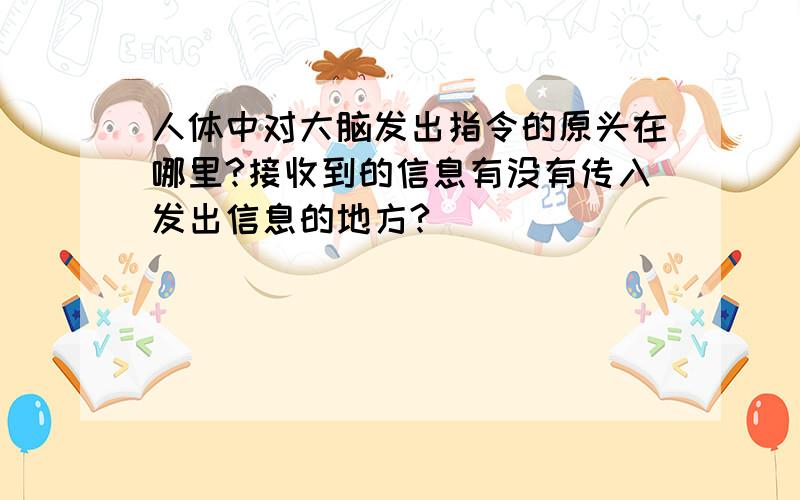 人体中对大脑发出指令的原头在哪里?接收到的信息有没有传入发出信息的地方?