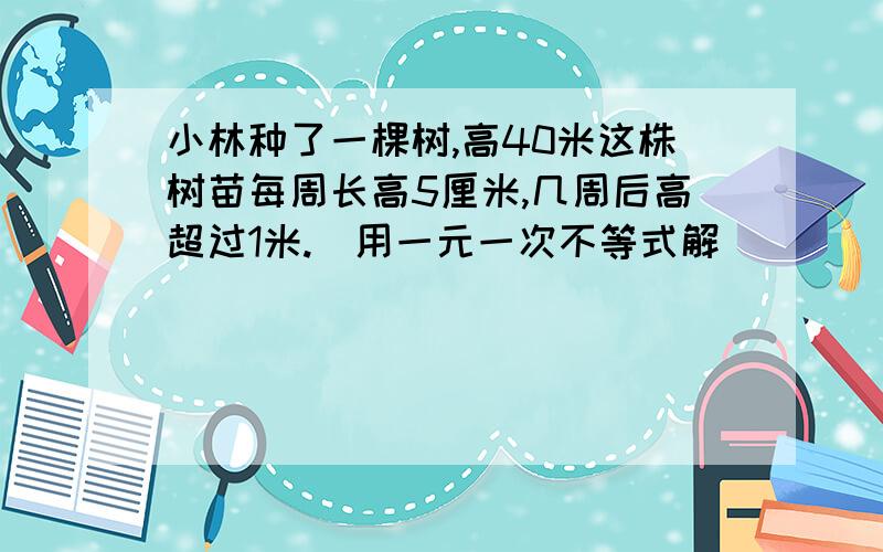 小林种了一棵树,高40米这株树苗每周长高5厘米,几周后高超过1米.（用一元一次不等式解）