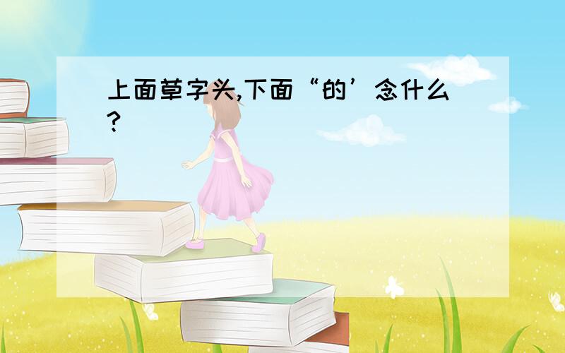 上面草字头,下面“的’念什么?