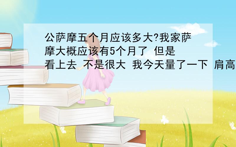 公萨摩五个月应该多大?我家萨摩大概应该有5个月了 但是 看上去 不是很大 我今天量了一下 肩高 大概55左右 身长大概68左右 体重29斤 是不是有点小啊 还是公狗呢!