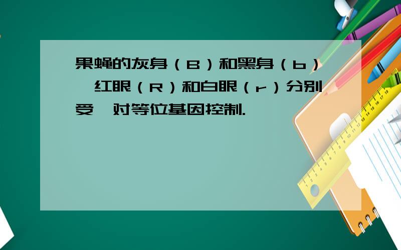 果蝇的灰身（B）和黑身（b）,红眼（R）和白眼（r）分别受一对等位基因控制.