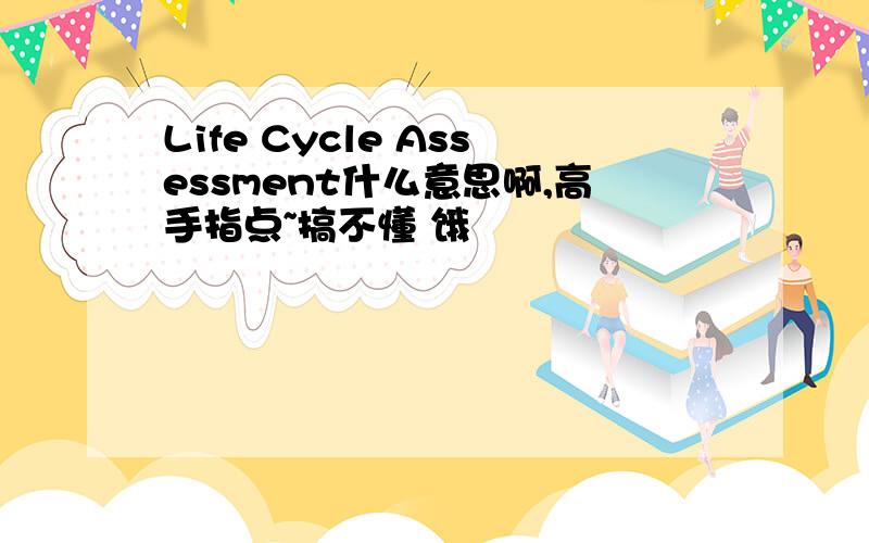 Life Cycle Assessment什么意思啊,高手指点~搞不懂 饿