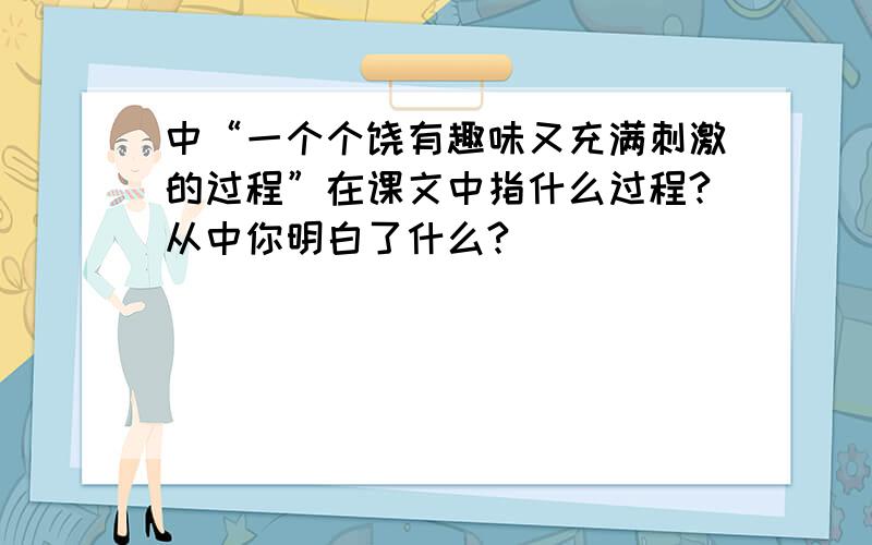 中“一个个饶有趣味又充满刺激的过程”在课文中指什么过程?从中你明白了什么?