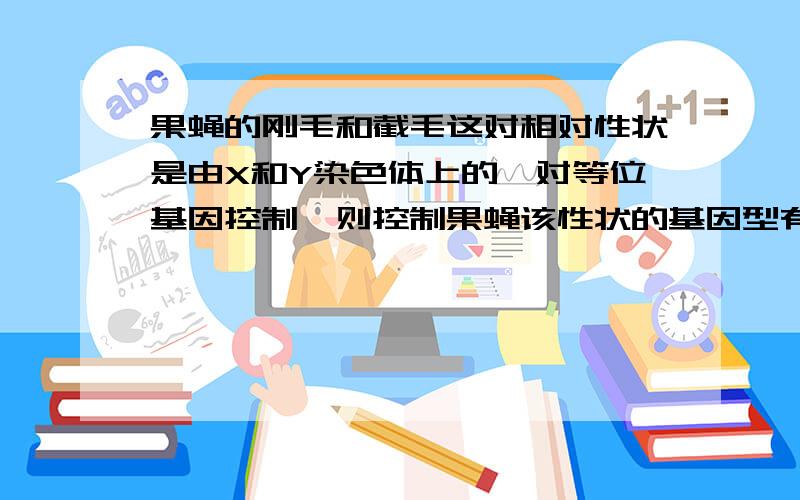 果蝇的刚毛和截毛这对相对性状是由X和Y染色体上的一对等位基因控制,则控制果蝇该性状的基因型有：A4 B5 C6 D7为什么呢.