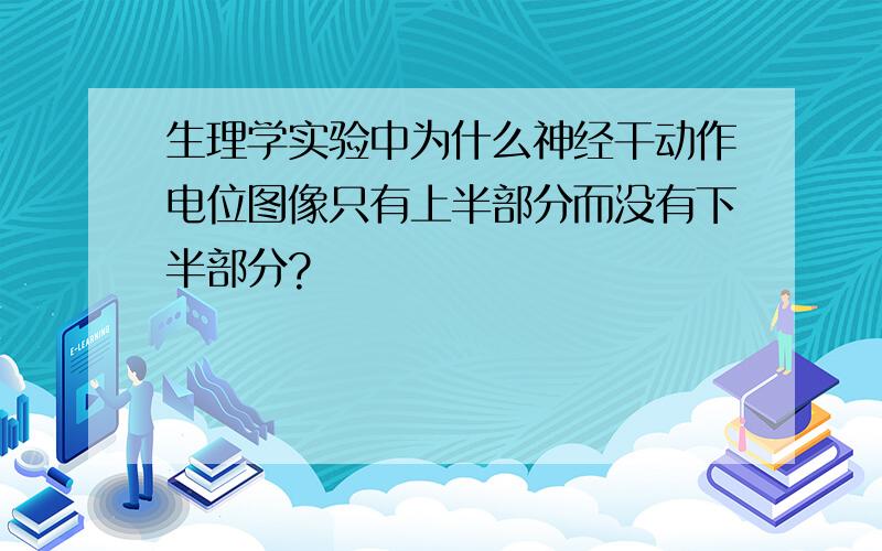 生理学实验中为什么神经干动作电位图像只有上半部分而没有下半部分?