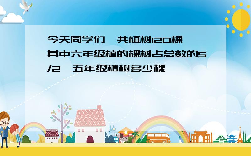 今天同学们一共植树120棵,其中六年级植的棵树占总数的5/2,五年级植树多少棵