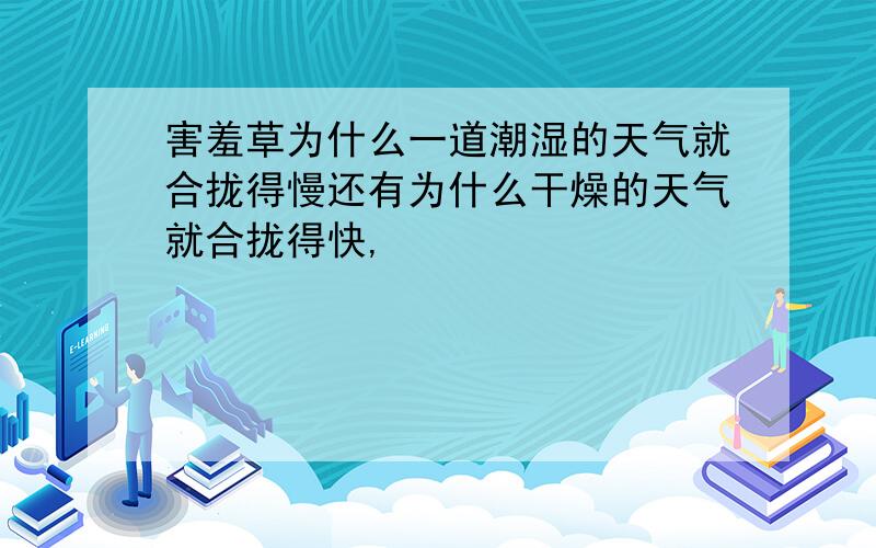 害羞草为什么一道潮湿的天气就合拢得慢还有为什么干燥的天气就合拢得快,