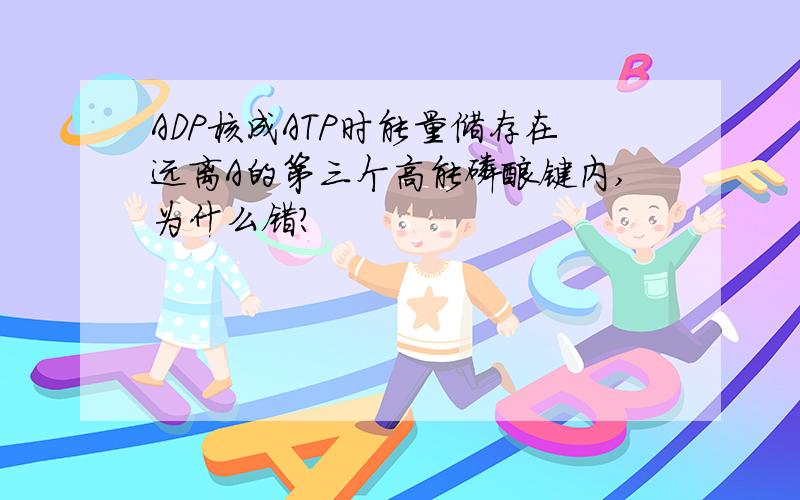 ADP核成ATP时能量储存在远离A的第三个高能磷酸键内,为什么错?