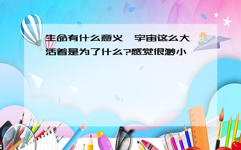 生命有什么意义,宇宙这么大,活着是为了什么?感觉很渺小