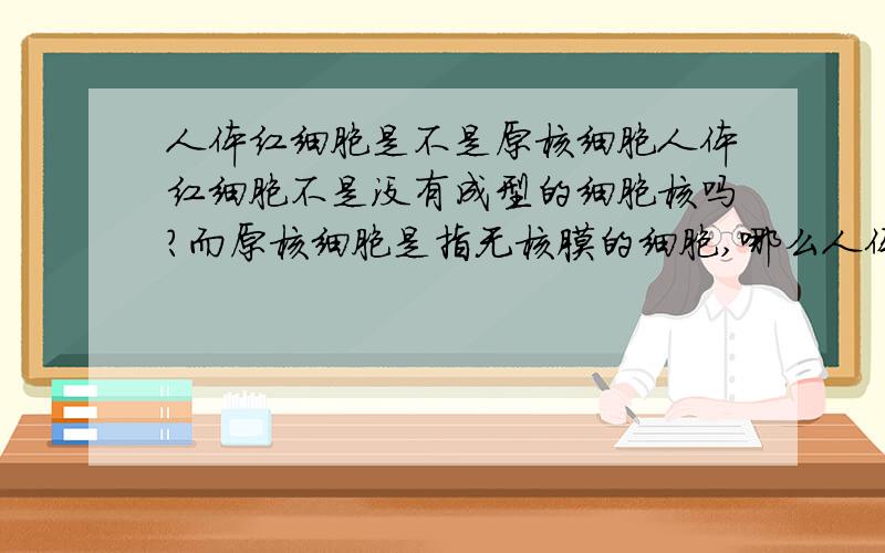 人体红细胞是不是原核细胞人体红细胞不是没有成型的细胞核吗?而原核细胞是指无核膜的细胞,哪么人体红细胞会不会是原核细胞呢?