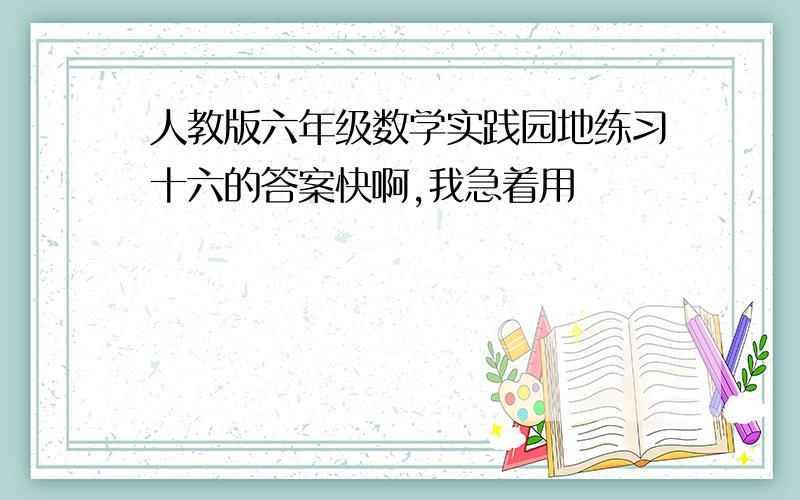 人教版六年级数学实践园地练习十六的答案快啊,我急着用