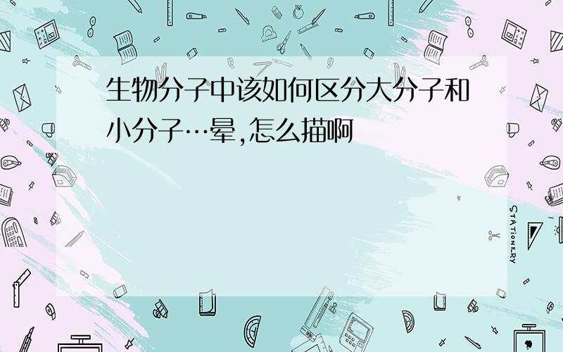 生物分子中该如何区分大分子和小分子…晕,怎么描啊