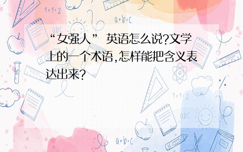 “女强人” 英语怎么说?文学上的一个术语,怎样能把含义表达出来?