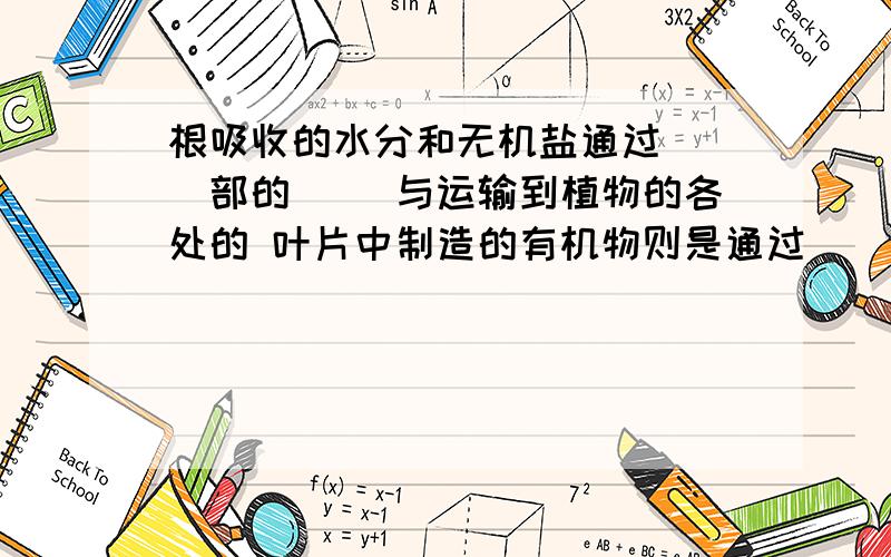 根吸收的水分和无机盐通过（ ）部的（ ）与运输到植物的各处的 叶片中制造的有机物则是通过（ ）部的（ ）云世道植物的其他器官木质部和韧皮部之间的（ ）能不断的分裂出新细胞,想歪