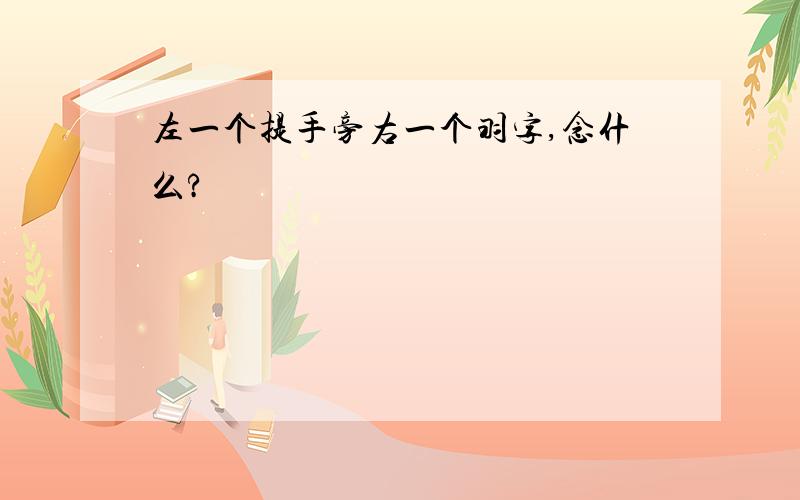 左一个提手旁右一个羽字,念什么?