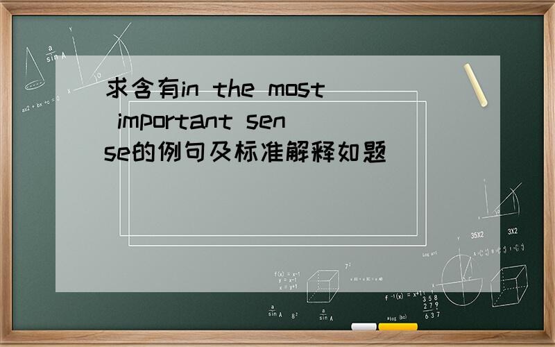 求含有in the most important sense的例句及标准解释如题