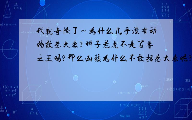 我就奇怪了～为什么几乎没有动物敢惹大象?狮子老虎不是百兽之王吗?那么凶猛为什么不敢招惹大象呢?大象笨笨的,无非大一点而已,又不灵活,