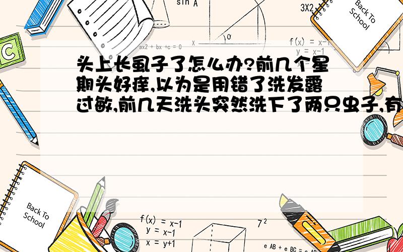 头上长虱子了怎么办?前几个星期头好痒,以为是用错了洗发露过敏,前几天洗头突然洗下了两只虫子,有点像蜘蛛,好恶心,叫同学看一下,原来是虱子!这只有小时候才会长的东西,我这么大还会长,