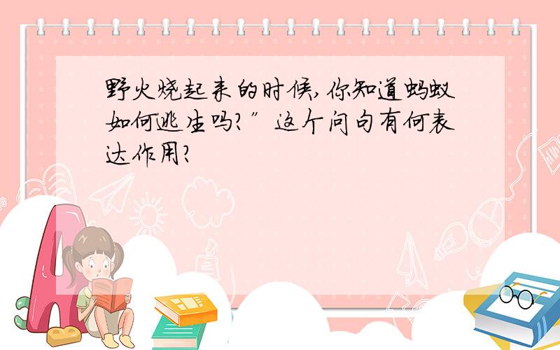 野火烧起来的时候,你知道蚂蚁如何逃生吗?”这个问句有何表达作用?