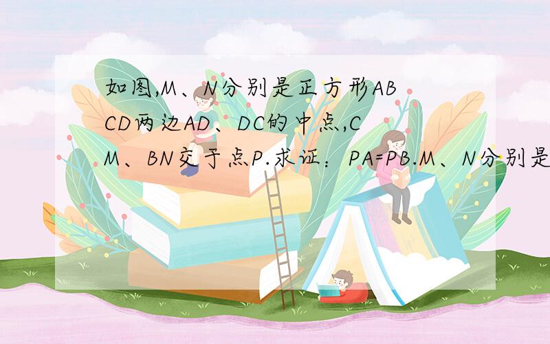 如图,M、N分别是正方形ABCD两边AD、DC的中点,CM、BN交于点P.求证：PA=PB.M、N分别是正方形ABCD两边BD、AB的中点，AM、CN交于P字母标得不大对，