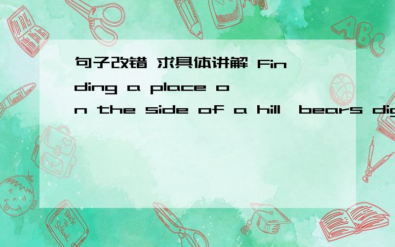 句子改错 求具体讲解 Finding a place on the side of a hill,bears dig dens in the autumn.