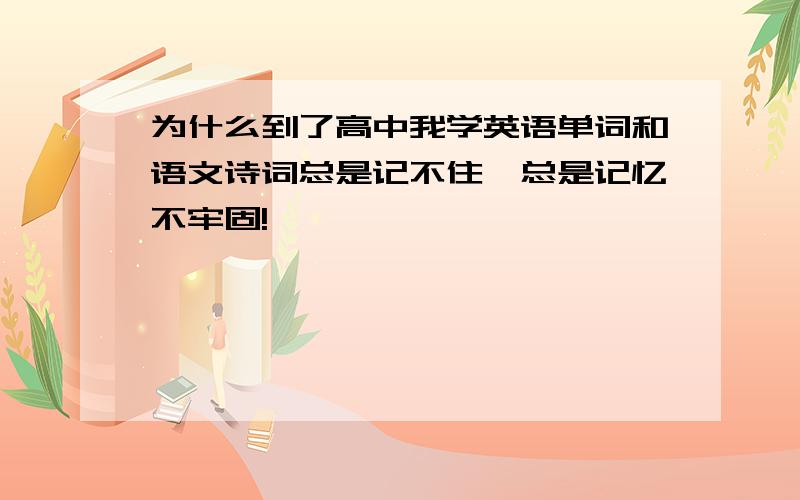 为什么到了高中我学英语单词和语文诗词总是记不住,总是记忆不牢固!