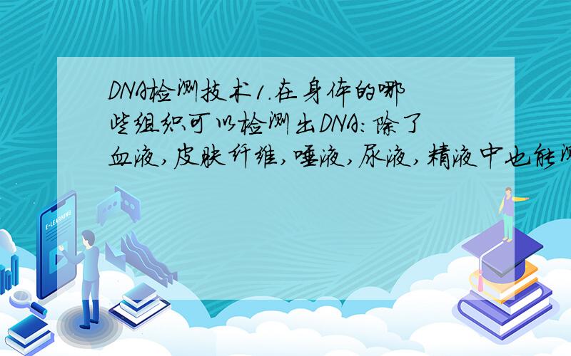 DNA检测技术1.在身体的哪些组织可以检测出DNA：除了血液,皮肤纤维,唾液,尿液,精液中也能测出吗）2.在死体中DNA可以保存多久