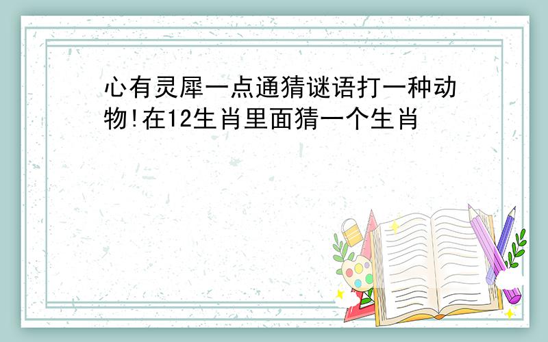 心有灵犀一点通猜谜语打一种动物!在12生肖里面猜一个生肖