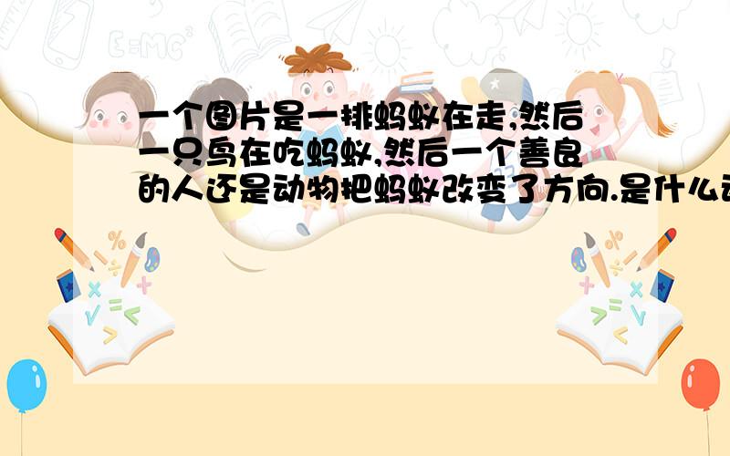 一个图片是一排蚂蚁在走,然后一只鸟在吃蚂蚁,然后一个善良的人还是动物把蚂蚁改变了方向.是什么动画片?一个图片是一排蚂蚁在走,然后一只鸟在吃蚂蚁,然后一个善良的人还是动物把蚂蚁