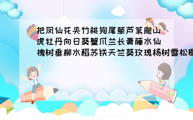 把凤仙花夹竹桃狗尾草芦苇爬山虎牡丹向日葵蟹爪兰长青藤水仙槐树垂柳水稻苏铁天竺葵玫瑰杨树雪松椰树分类