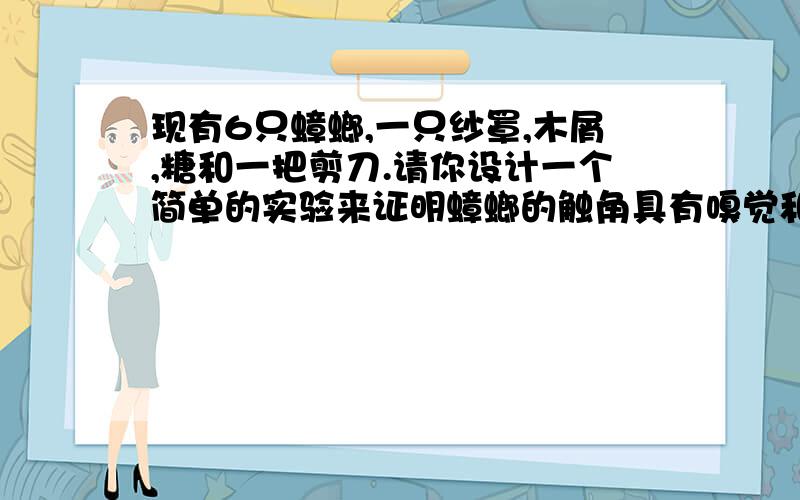 现有6只蟑螂,一只纱罩,木屑,糖和一把剪刀.请你设计一个简单的实验来证明蟑螂的触角具有嗅觉和触觉作用