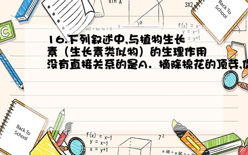 16.下列叙述中,与植物生长素（生长素类似物）的生理作用没有直接关系的是A．摘除棉花的顶芽,促进侧芽的生长发育B．扦插时,保留芽或者幼叶的插条容易成活C．将成熟的木瓜放入未熟的的