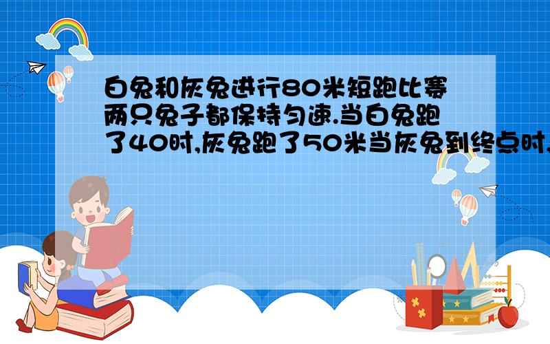 白兔和灰兔进行80米短跑比赛两只兔子都保持匀速.当白兔跑了40时,灰兔跑了50米当灰兔到终点时,往下看白兔距离终点多少米?【请勿列算式,列方程】