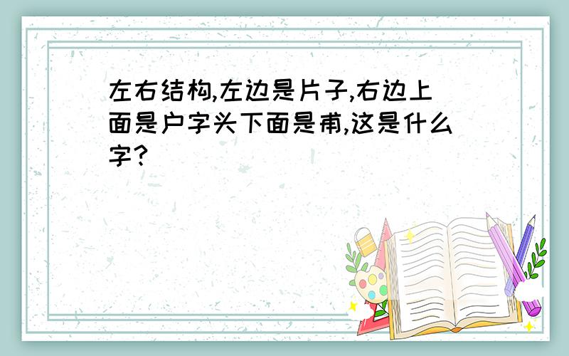 左右结构,左边是片子,右边上面是户字头下面是甫,这是什么字?