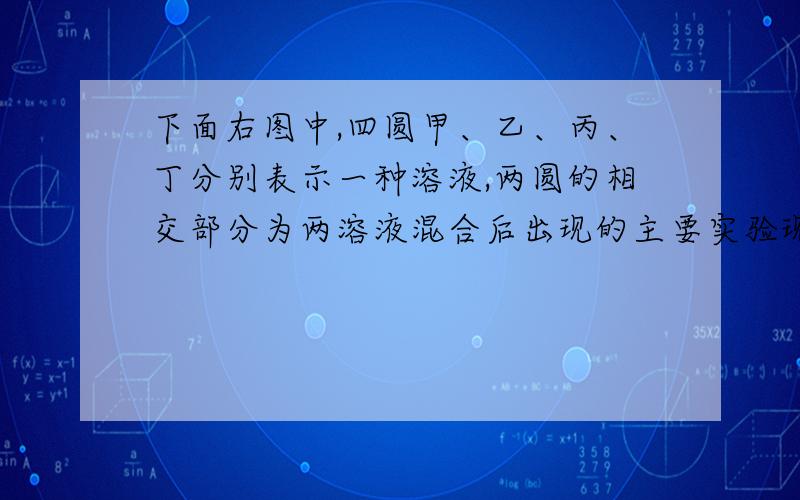 下面右图中,四圆甲、乙、丙、丁分别表示一种溶液,两圆的相交部分为两溶液混合后出现的主要实验现象,下表中满足图示关系的一组物质是