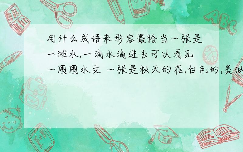 用什么成语来形容最恰当一张是一滩水,一滴水滴进去可以看见一圈圈水文 一张是秋天的花,白色的,类似于茉莉 一张是夏日的类似于牡丹的花,颜色比较红艳 一张是岁月悠久的枯木,可以清楚