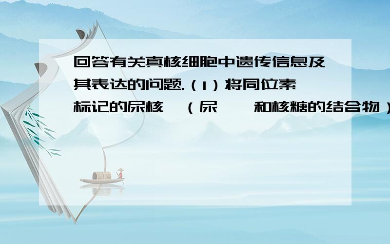 回答有关真核细胞中遗传信息及其表达的问题.（1）将同位素标记的尿核苷（尿嘧啶和核糖的结合物）加入细胞培养液中,不久在细胞核中发现被标记的__________、__________、___________.为什么