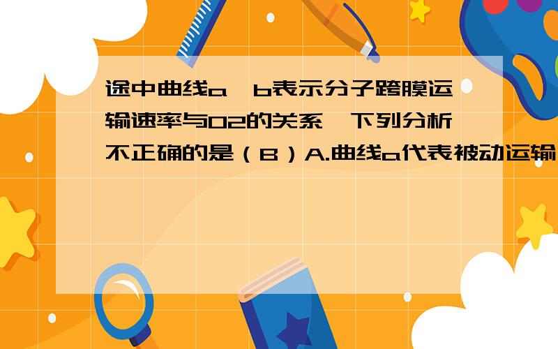 途中曲线a,b表示分子跨膜运输速率与O2的关系,下列分析不正确的是（B）A.曲线a代表被动运输,曲线b代表主动运输.B.曲线a代表的分子跨膜运输一定不需要载体蛋白C.曲线b转运速率达到饱和的原