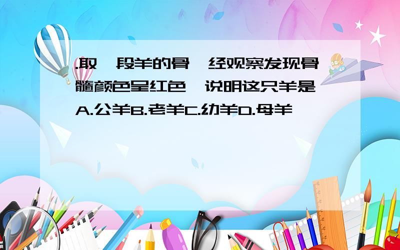 .取一段羊的骨,经观察发现骨髓颜色呈红色,说明这只羊是∶A.公羊B.老羊C.幼羊D.母羊