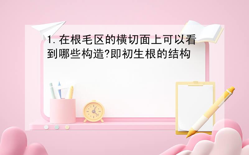 1.在根毛区的横切面上可以看到哪些构造?即初生根的结构