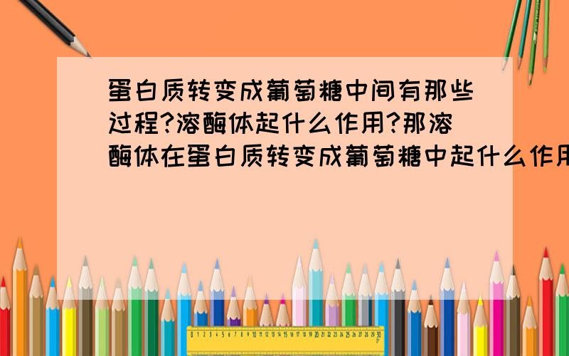 蛋白质转变成葡萄糖中间有那些过程?溶酶体起什么作用?那溶酶体在蛋白质转变成葡萄糖中起什么作用、