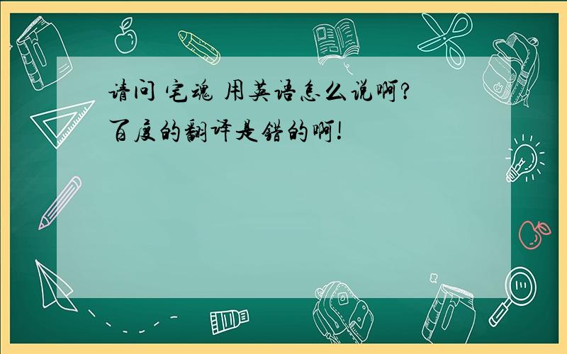 请问 宅魂 用英语怎么说啊?百度的翻译是错的啊!