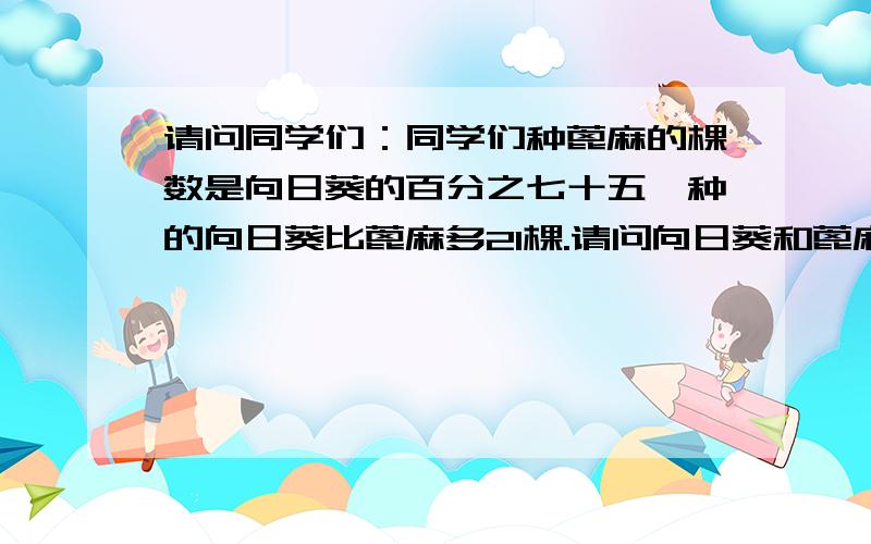 请问同学们：同学们种蓖麻的棵数是向日葵的百分之七十五,种的向日葵比蓖麻多21棵.请问向日葵和蓖麻各种了多少棵?