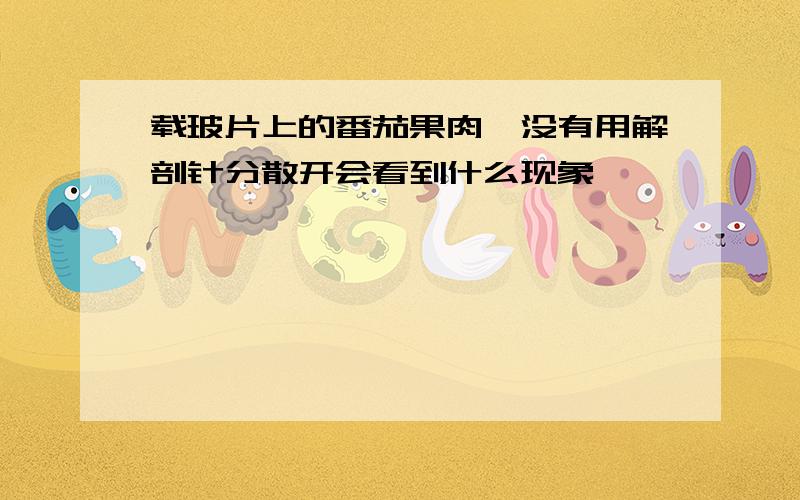 载玻片上的番茄果肉,没有用解剖针分散开会看到什么现象