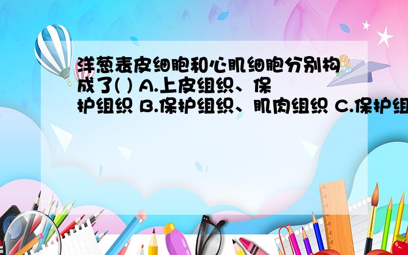 洋葱表皮细胞和心肌细胞分别构成了( ) A.上皮组织、保护组织 B.保护组织、肌肉组织 C.保护组织、营养组是能输送有根吸收来的水分,无机盐以及叶制造的营养物质,因此叶脉主要是有组织构