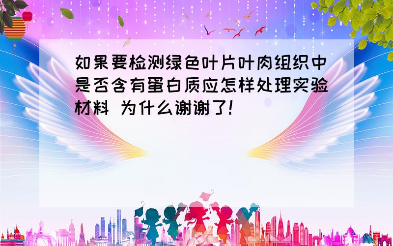 如果要检测绿色叶片叶肉组织中是否含有蛋白质应怎样处理实验材料 为什么谢谢了!