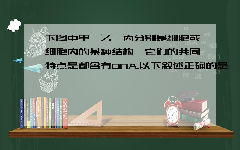 下图中甲、乙、丙分别是细胞或细胞内的某种结构,它们的共同特点是都含有DNA.以下叙述正确的是　　A．甲、乙、丙的另一个共同特点是都含有双层膜结构　　B．只有真核细胞才具有甲和乙