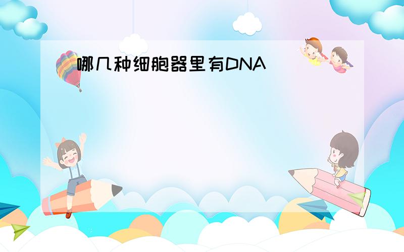 哪几种细胞器里有DNA