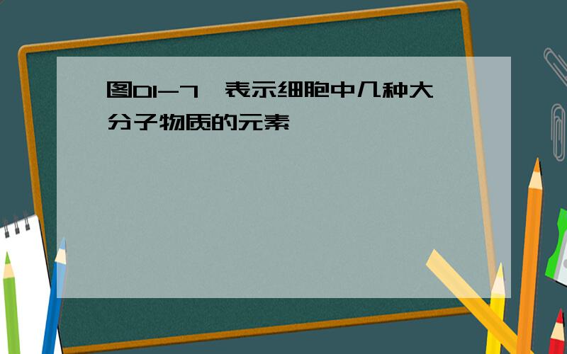 图D1-7,表示细胞中几种大分子物质的元素